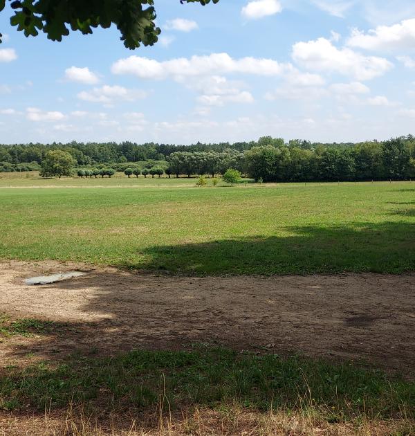 landschapzicht