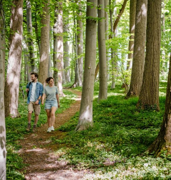 Wandelen Dendervallei Zuid