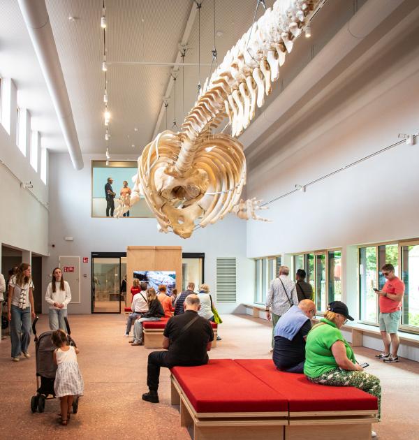 Navigo Visserijmuseum