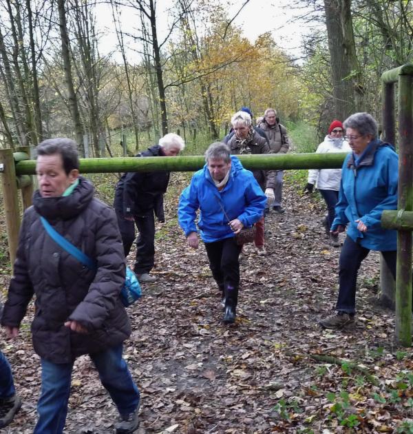 Groep wandellaars
