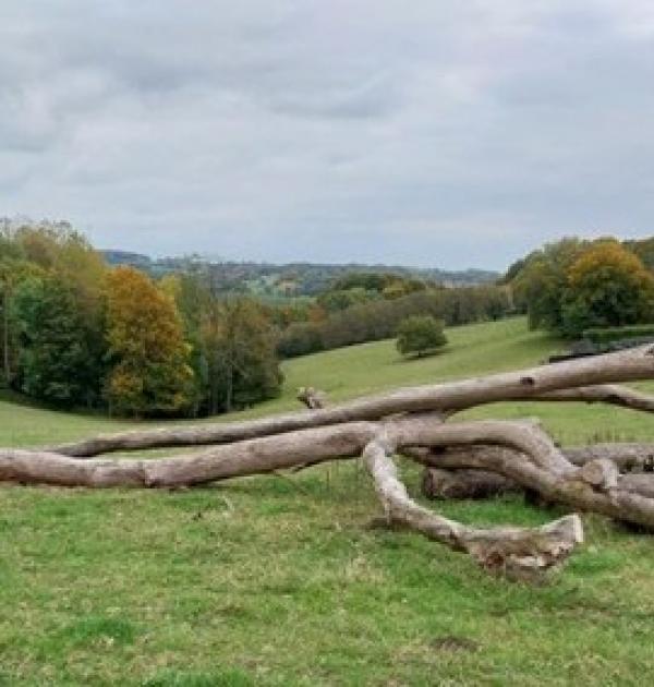 Dagwandeling