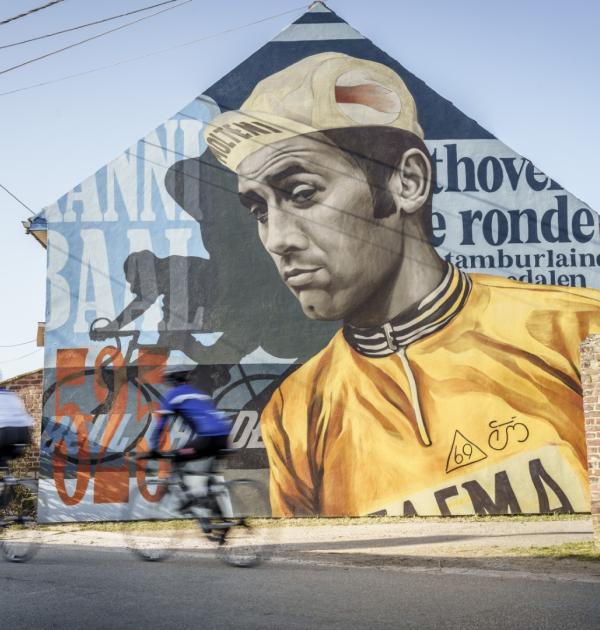 Street Art Eddy Merckx