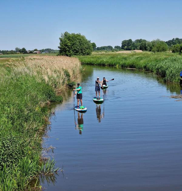 Wandeling Rijsbergen