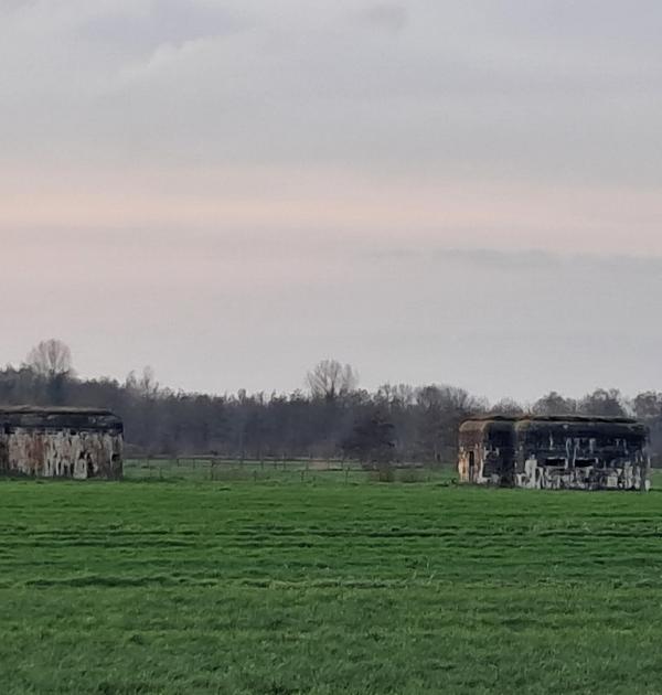 Zicht op de bunkerlinie uit WO I - tussen Ertvelde en Oosteeklo