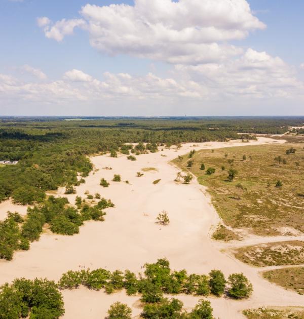 Loonse-en-DrunenseDuinen