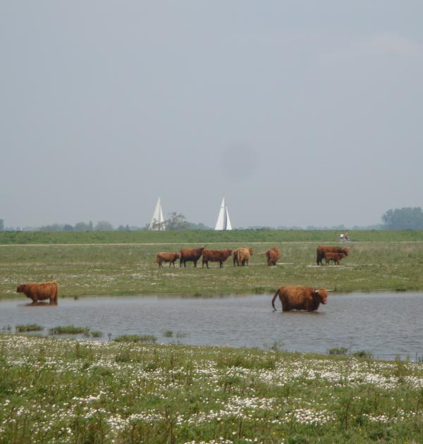 Tiengemeten
