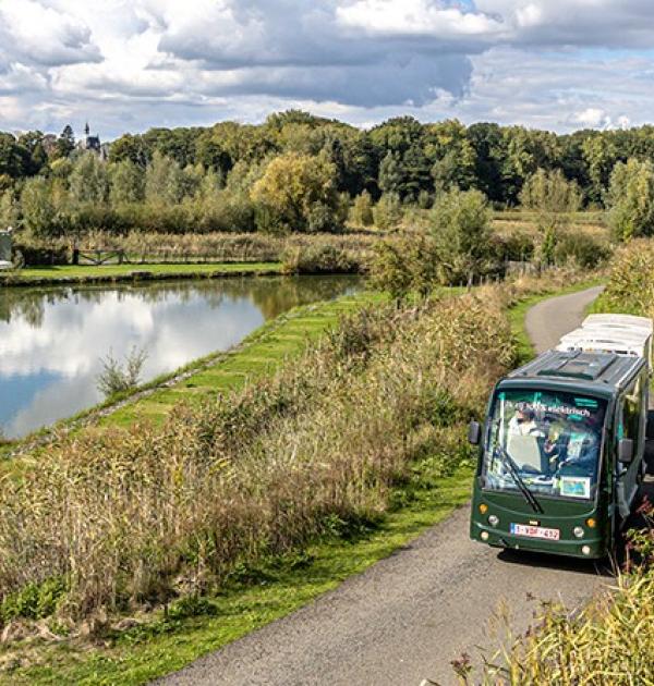 Stiltetrein in Kruibeke