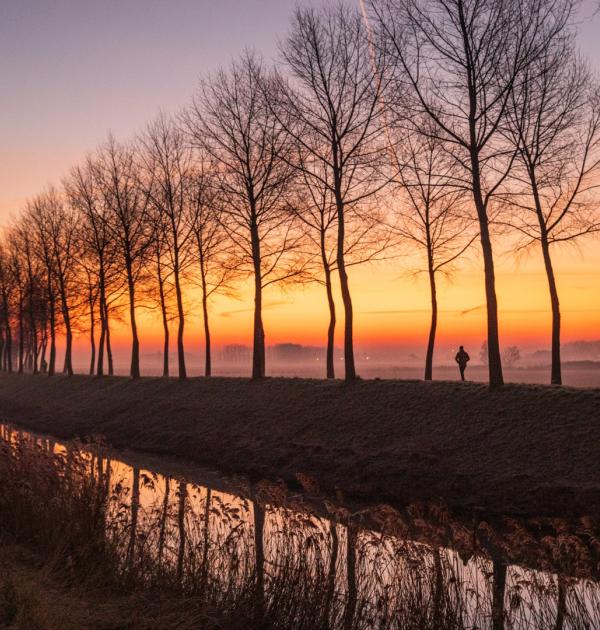 meetjeslandse kreken