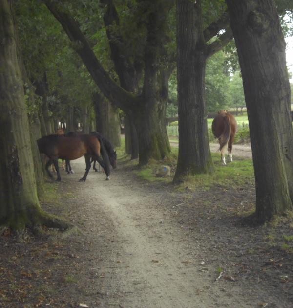 onderrweg