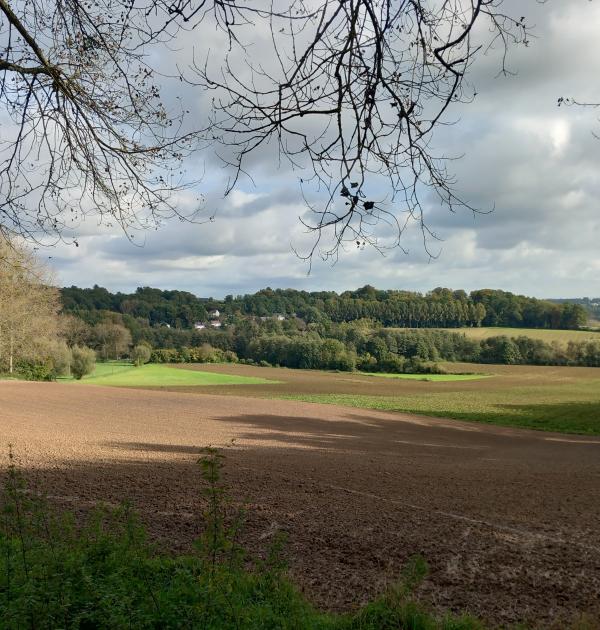Vergezicht