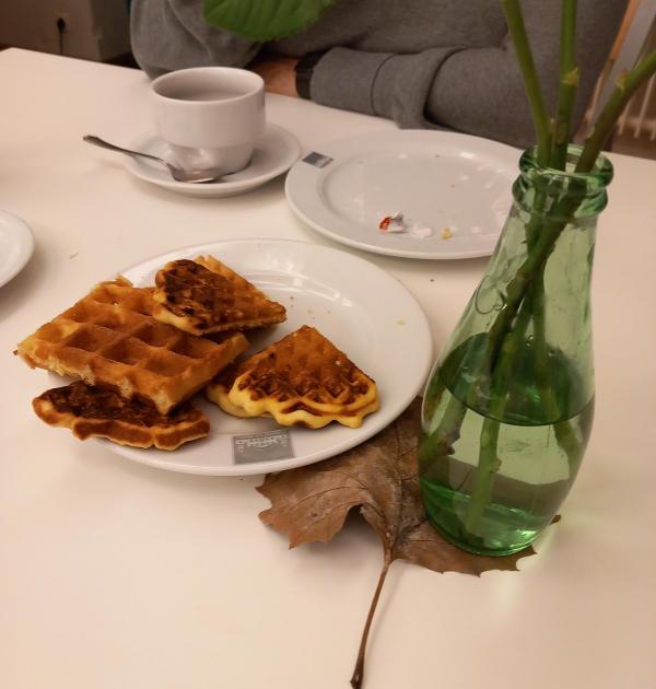 Zelfgebakken wafeltjes
