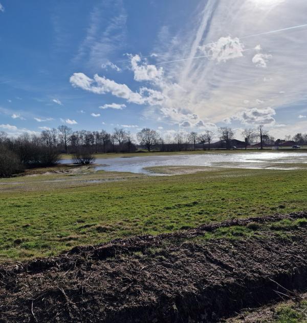 Mooi natuurgebied De Maatjes