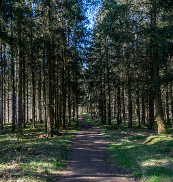 Houffalize