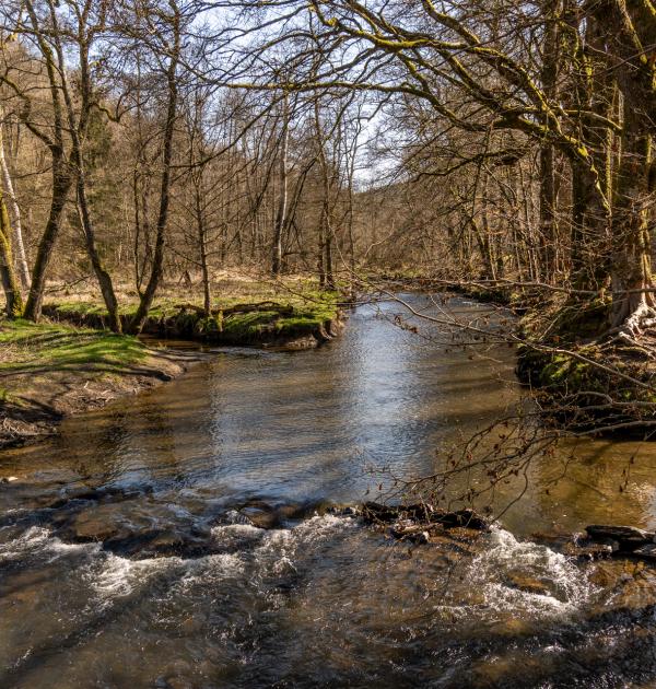 Houffalize