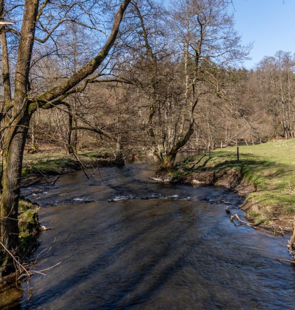 Houffalize