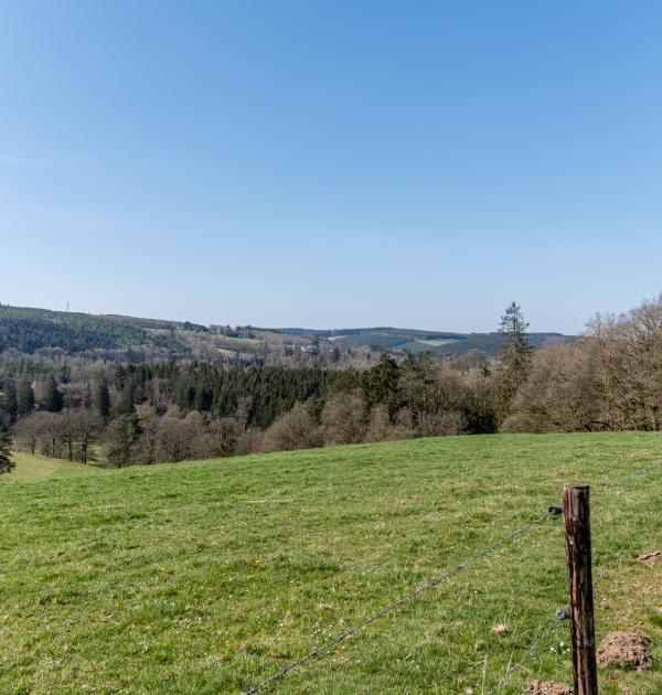 Houffalize