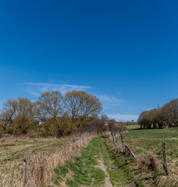 Houffalize