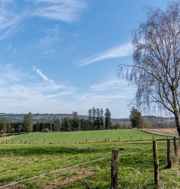 Houffalize