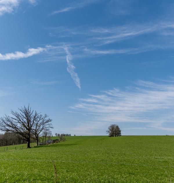 Houffalize