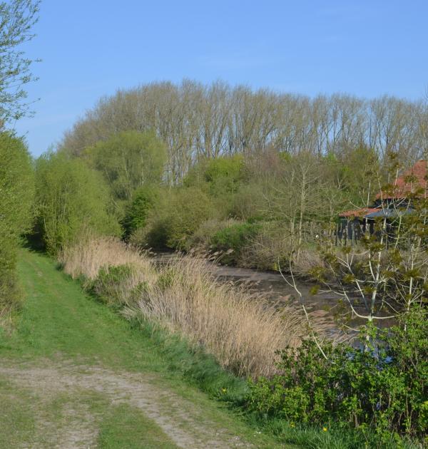Trage Weg naast de Zwartesluisbeek