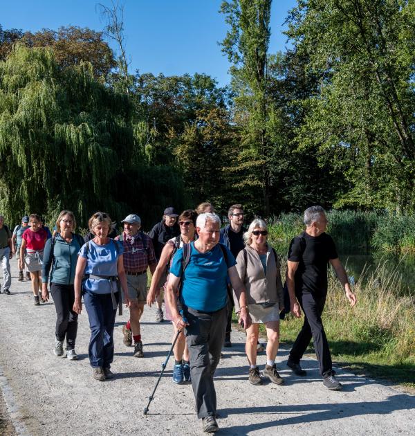 Dagwandeling Brussel
