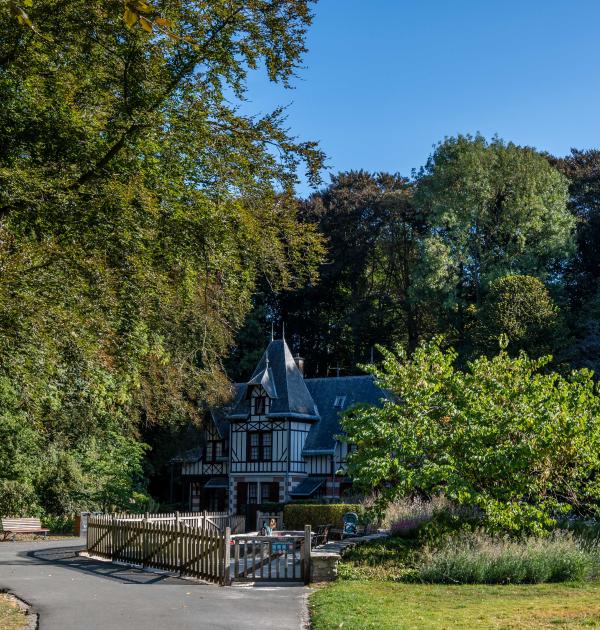 Dagwandeling Brussel