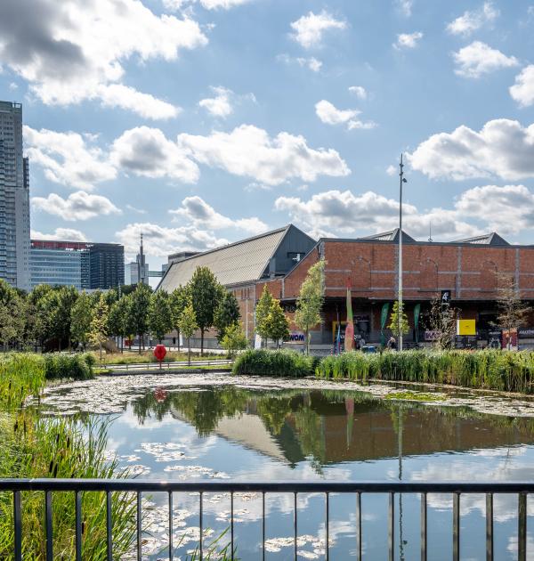 Dagwandeling Brussel