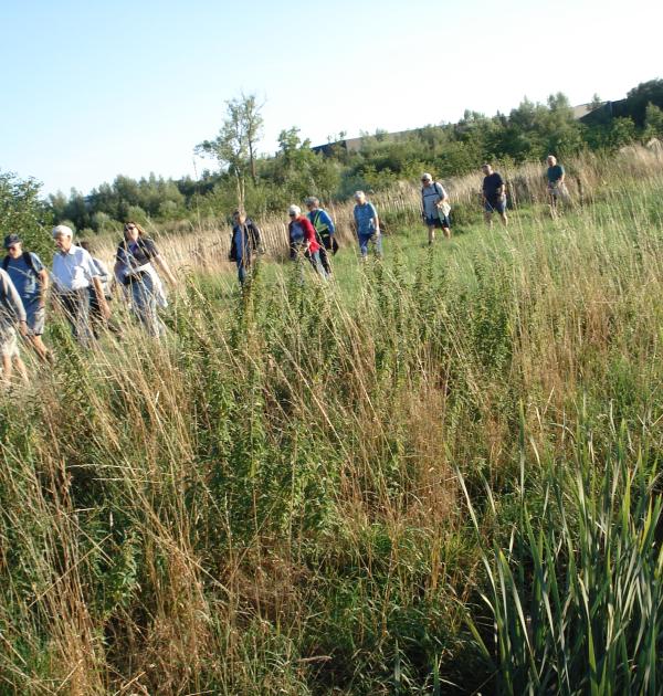 Edegemse Beekvallei in Edegem