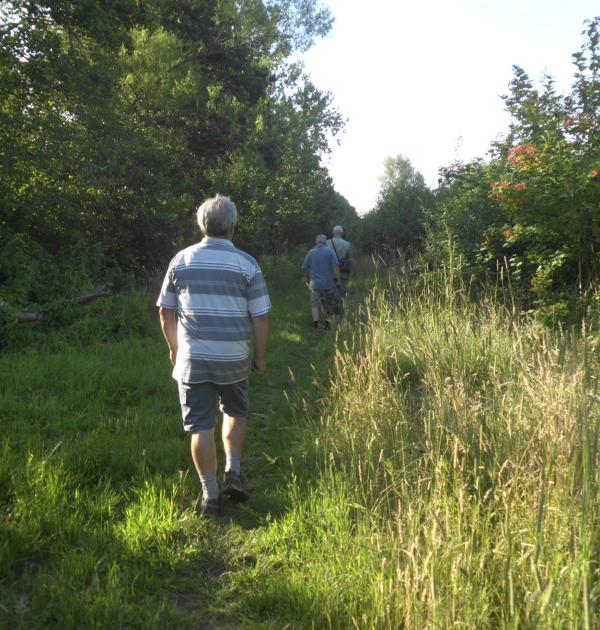Edegemse Beekvallei in Edegem