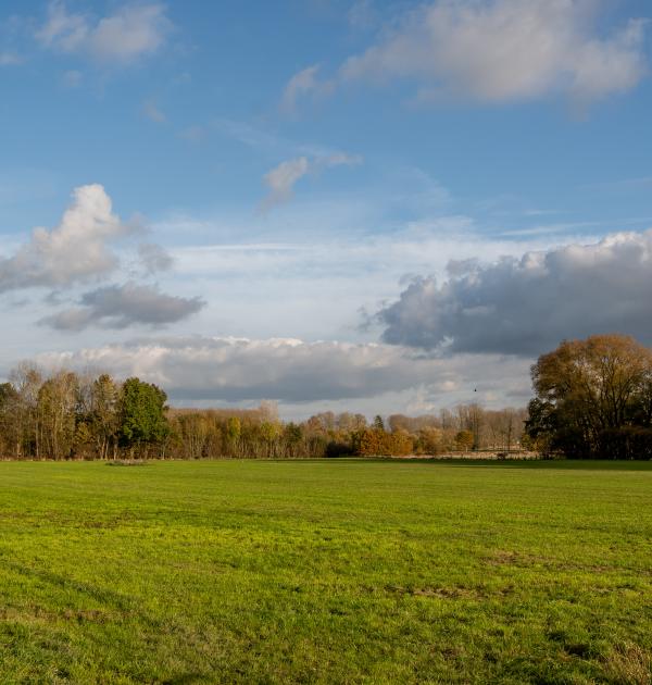 Herfstwandeling Glabbeek