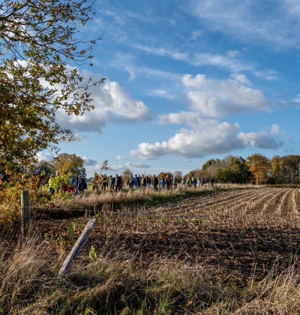 Herfstwandeling Glabbeek