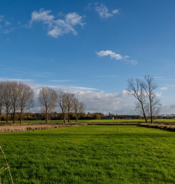 Herfstwandeling Glabbeek