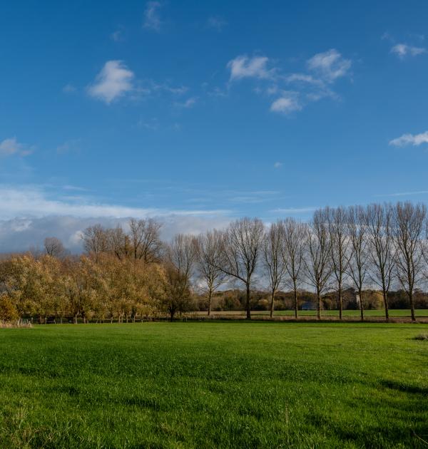 Herfstwandeling Glabbeek