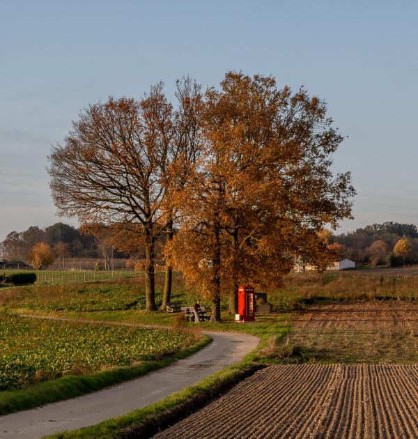Herfstwandeling Glabbeek