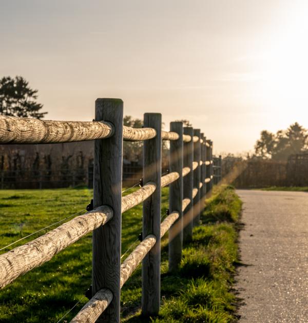 Herfstwandeling Glabbeek