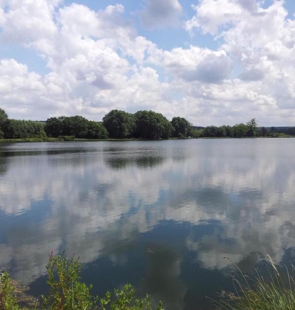 Hoofdfoto Camping Les Marguerites