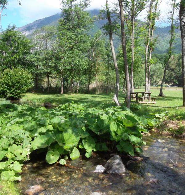 Hoofdfoto Camping Au Valbonheur