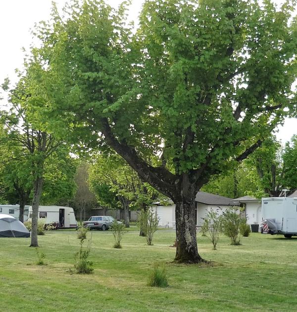 Hoofdfoto Onlycamp La Gâtine