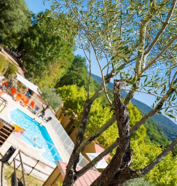 Hoofdfoto Camping Le Vieux Vallon