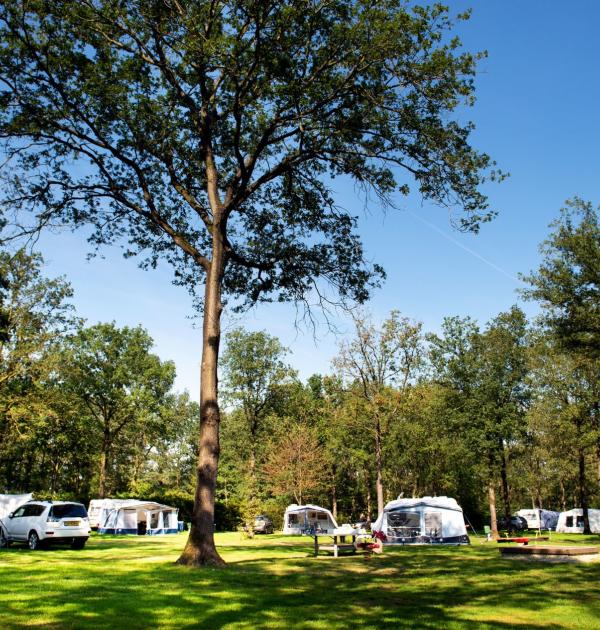 Hoofdfoto Park Drentheland