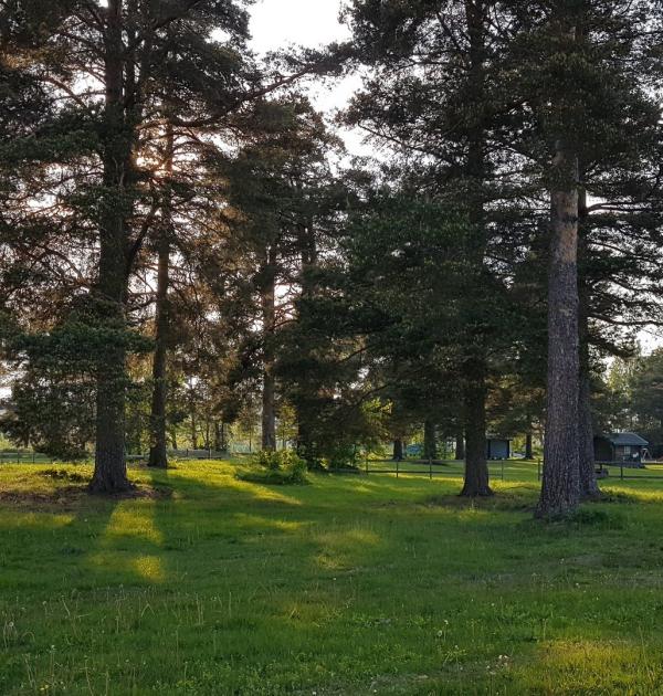 Hoofdfoto Nås Camping