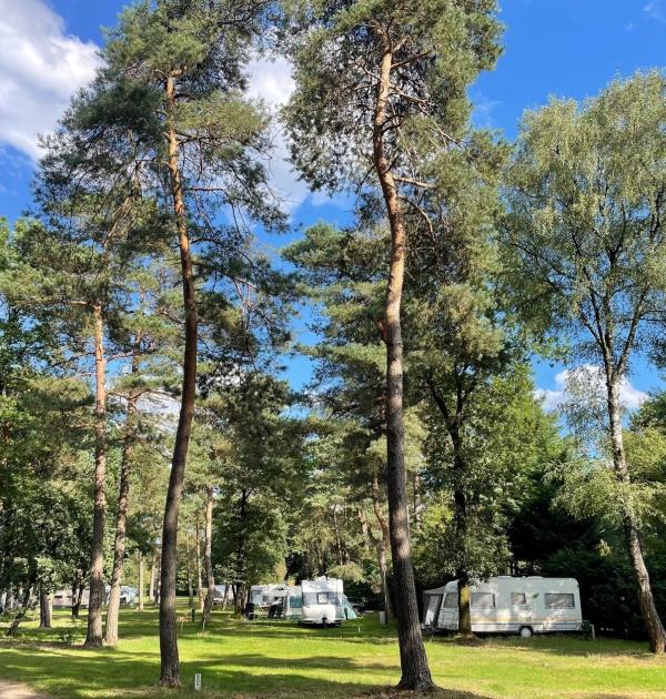 Hoofdfoto Vakantiepark Hertenhorst