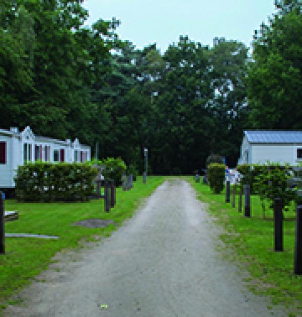 Hoofdfoto Camping Floreal Het Veen