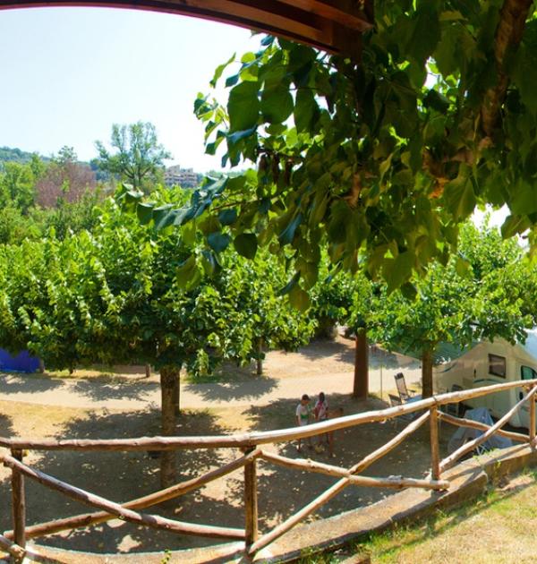 Hoofdfoto Camping Pian Dei Boschi