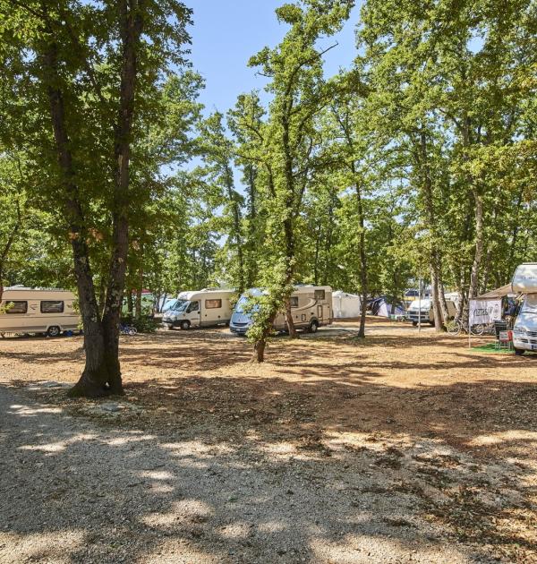 Hoofdfoto Camping Finida