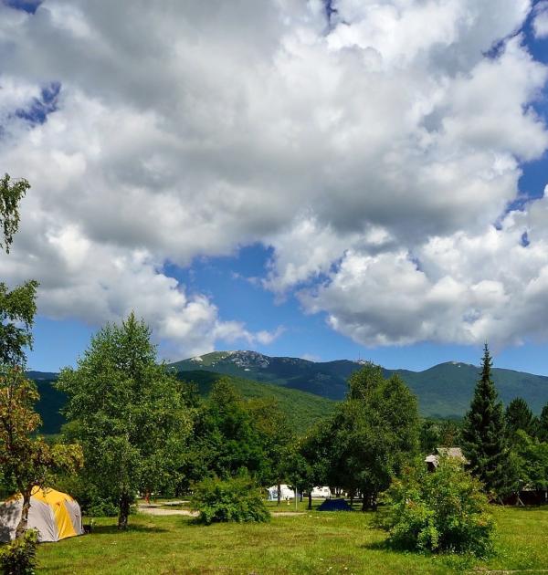 Hoofdfoto Camping Borje