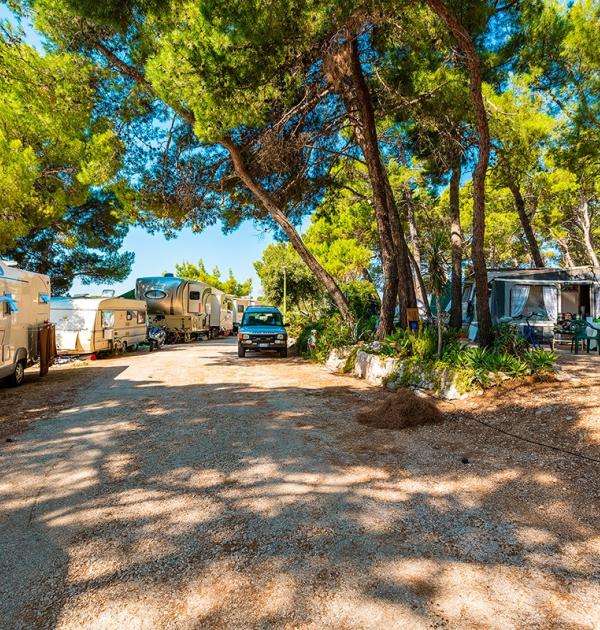 Hoofdfoto Camping Poljana