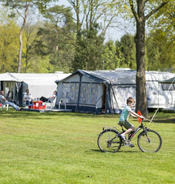 Hoofdfoto Vakantiepark Westerbergen