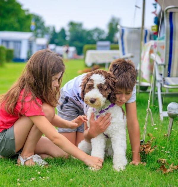 Hoofdfoto Ardoer Comfortcamping Scheldeoord