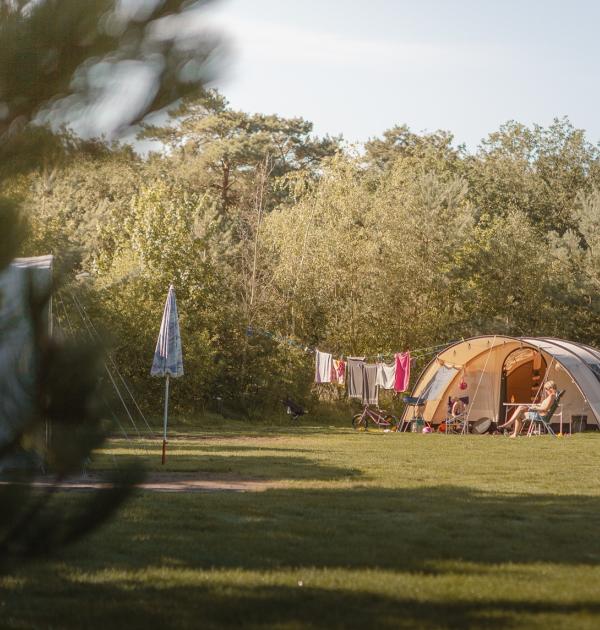 Hoofdfoto De Lemeler Esch Natuurcamping